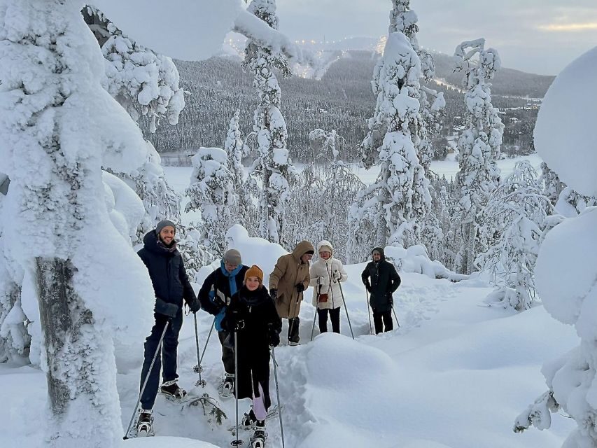 Levi: Lakeside forest snowshoeing - Who Will Love This Tour?