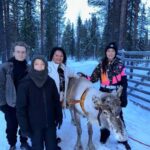 Levi: Meet Reindeer and Visit Husky Kennel - An In-Depth Look: What to Expect from the Tour