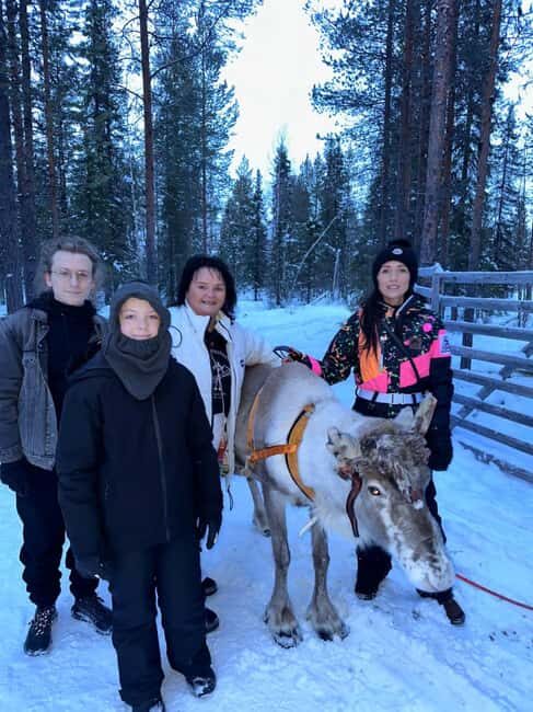 Levi: Meet Reindeer and Visit Husky Kennel - An In-Depth Look: What to Expect from the Tour