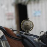 Levi: One Horse Open Sleigh Ride - Pricing & Value