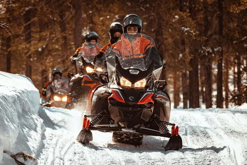 Levi: One Hour Snowmobiling Experience - Why You Should Consider This Tour