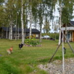 Levi: Peaceful Paddle on Ounasjoki River - An In-Depth Look at the Levi Ounasjoki Canoeing Experience