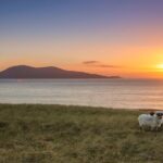 Lewis Historical Tour - The Value of This Tour