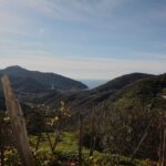 Lievàntu Wine Experience - A Closer Look at the Itinerary and Experience