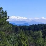 Linguaglossa: North Etna Guided Forest Walking Tour - What Makes This Tour Special