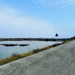 Lio Piccolo: Flamingos & Birdwatching Bike Tour in the Lagoon - Final Thoughts