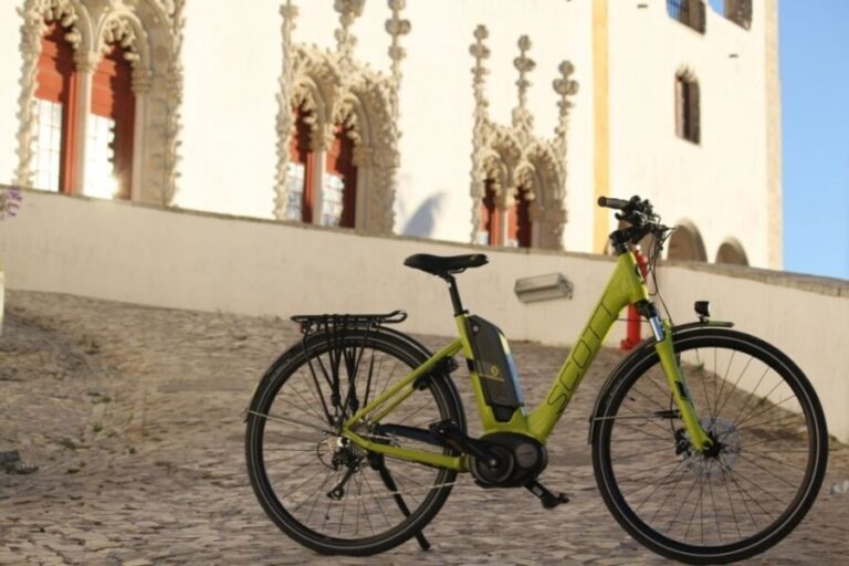 Lisbon: 3-Hour Tour by E-Bike - Who Would Enjoy This Tour?