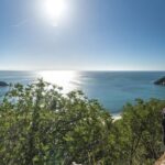 Lisbon: Adventure Circuit, Arrábida Park, Setubal, Sesimbra - The Circuit Itself: A Mix of Natural and Man-Made Obstacles