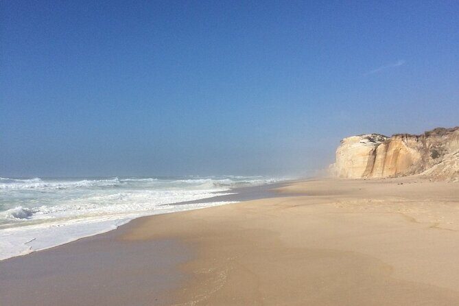 Lisbon Airport Private Transfer to Comporta - Final Thoughts: Is This Transfer Right for You?