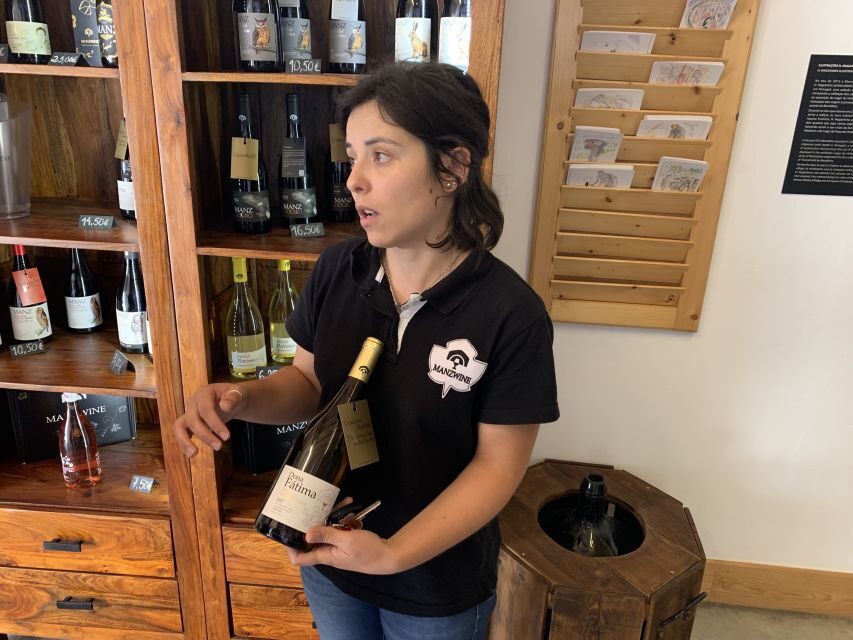 Lisbon Area Wine Tour - An Honest Look at the Value