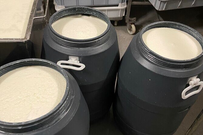 Lisbon Cheese Factory Visit, Wine Tasting and Tile Painting Tour - Why This Tour Is a Great Choice