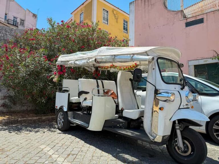 Lisbon City Overview with Tuk Tuk - Who Will Love This Tour?