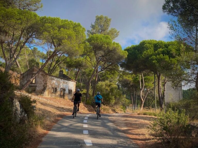 Lisbon: E-bike Trip from the Sintra Mountains to Cascais Sea - Who Would Enjoy This Tour?