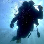 Lisbon: Eco-Friendly Beginner's Scuba Diving - The Marine Park and Its Biodiversity
