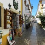 Lisbon: Fatima, Aljustrel, Nazare, and Obidos All Day Trip - Why This Tour Works Well