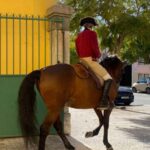 Lisbon: Portuguese Riding School Trainig with Lusitano Horse - Who Will Love This Tour?