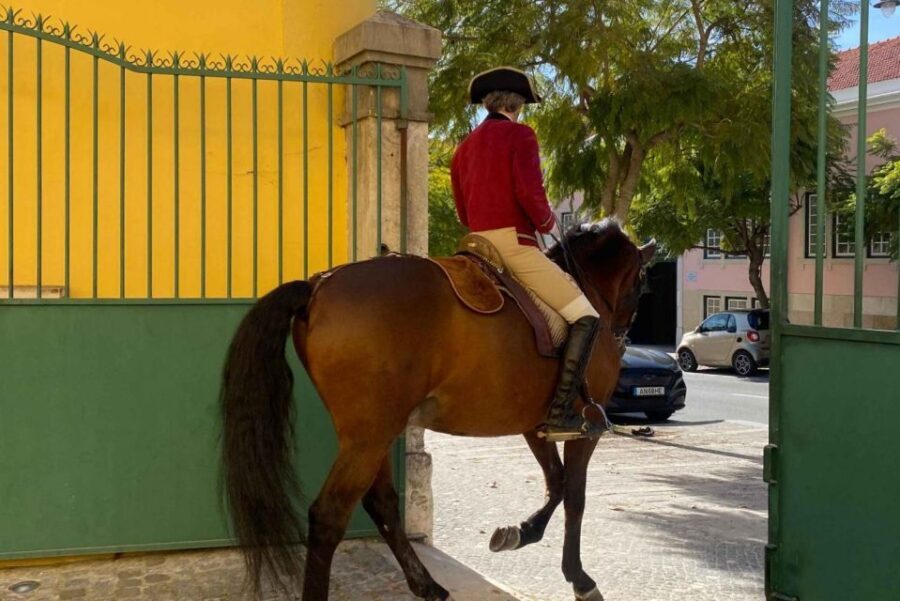 Lisbon: Portuguese Riding School Trainig with Lusitano Horse - Who Will Love This Tour?