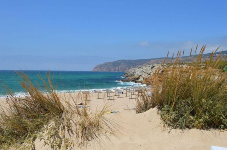 Lisbon: Private Luxury Coastline Tour - Practical Considerations