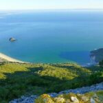 Lisbon Shore Excursion: Private Lisbon, Sesimbra and Arrábida with Wine Tasting - Practical Considerations