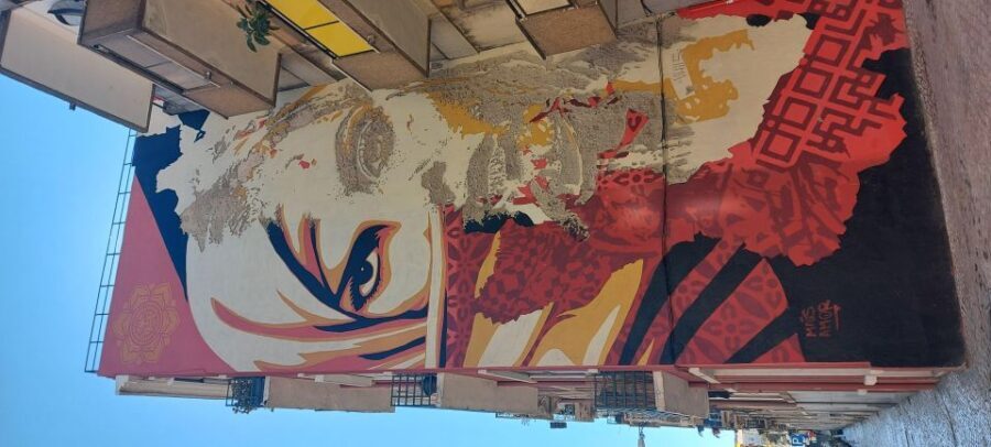 Lisbon Street Art Lovers Walk - The Sum Up: Who Will Love This Tour?