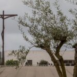 Lisbon: Tour to Fatima, Battle, Nazareth and Obidos (proof of ginja)! - Who Will Love This Tour?