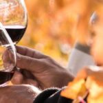 Lisbon Wine Tasting - What Makes This Tour Stand Out?