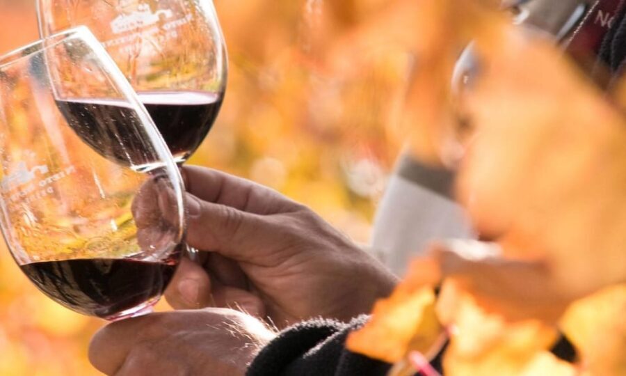 Lisbon Wine Tasting - What Makes This Tour Stand Out?