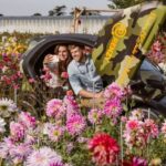 Lisse: Drive-it-Yourself Summer Flower GPS Audio Tour - Who Is This Tour Best For?