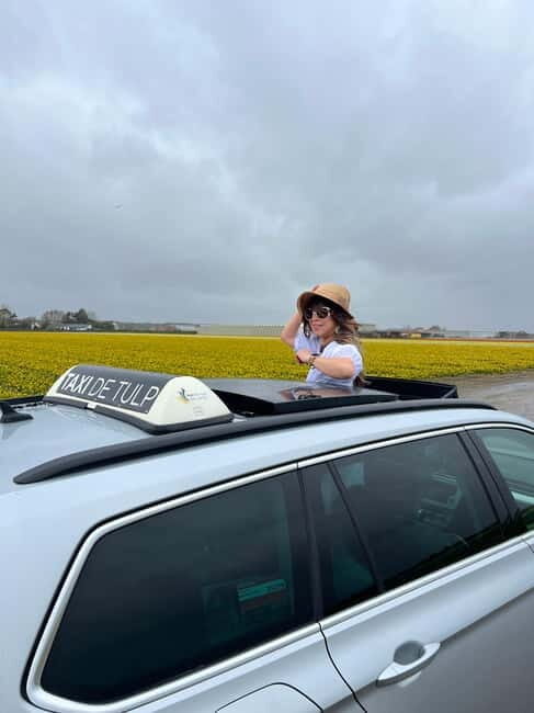 Lisse: Private Tulip Fields Tour with a Local Guide 1h Tour - The Itinerary in Detail