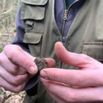 Livade: Guided Truffle Hunting Walking Tour - A Deep Dive into the Truffle Hunting Tour