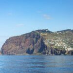 Living Sea Boat Trip in Madeira from Funchal - The Sum Up