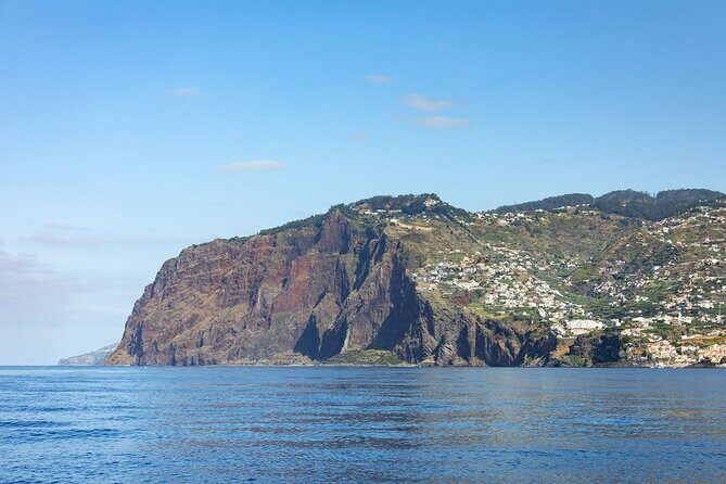 Living Sea Boat Trip in Madeira from Funchal - The Sum Up