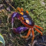 Livorno: Aquarium Entrance Ticket - Top Highlights