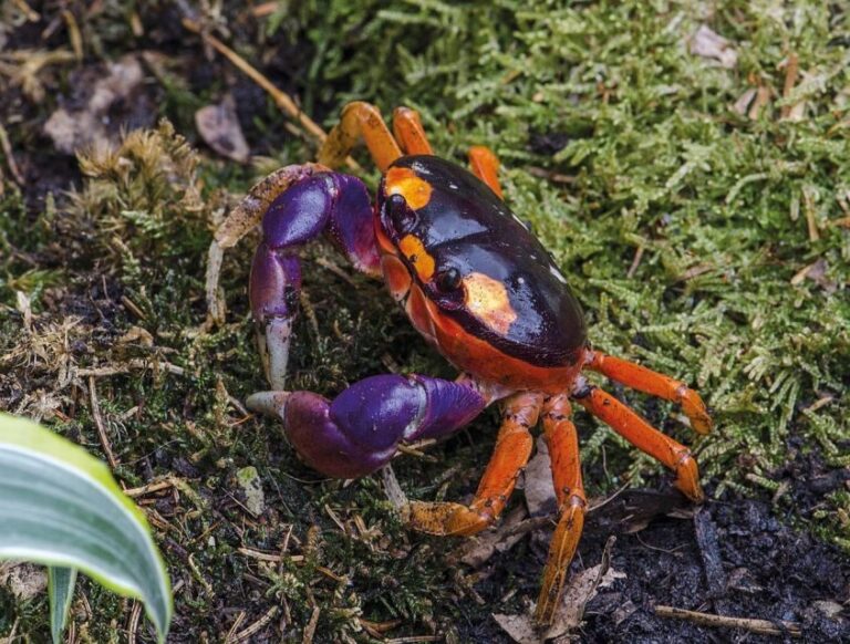 Livorno: Aquarium Entrance Ticket - Top Highlights