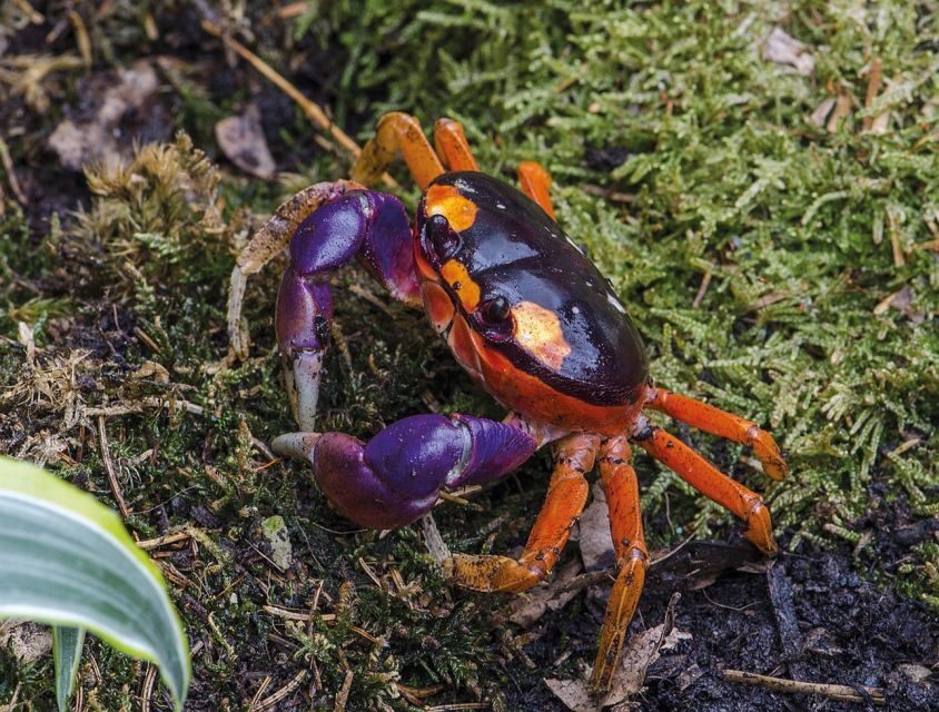 Livorno: Aquarium Entrance Ticket - Top Highlights