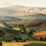 Livorno port to Bolgheri wine region and Etruscan castle - Pricing & Value Analysis