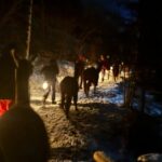 Llama hike with homemade, traditional cheese fondue - The Experience: What to Expect from Start to Finish