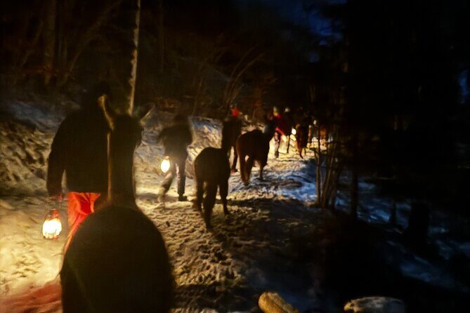 Llama hike with homemade, traditional cheese fondue - The Experience: What to Expect from Start to Finish