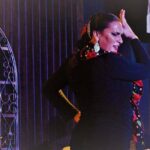 Local Flamenco Show with dinner at El Cortijo - Authenticity and Audience Experience