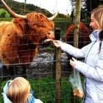 Loch Ness, Glencoe and the Highlands Private Day Tour - Who Will Love This Tour?