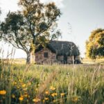 LOCH NESS, INVERNESS, CLAVA CAIRNS & MORE FROM INVERGORDON - What Makes This Tour Stand Out?