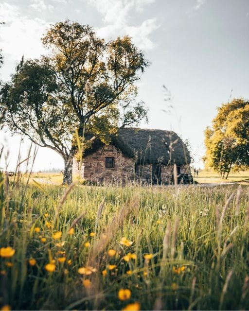 LOCH NESS, INVERNESS, CLAVA CAIRNS & MORE FROM INVERGORDON - What Makes This Tour Stand Out?