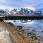 Lofoten: Guided Horse Riding Tour Over Hov and Hovsund - Who Should Consider This Tour?