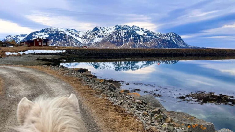 Lofoten: Guided Horse Riding Tour Over Hov and Hovsund - Who Should Consider This Tour?