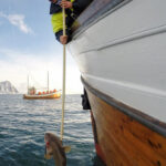 Lofoten: Traditional Fishing Trip - Final Thoughts