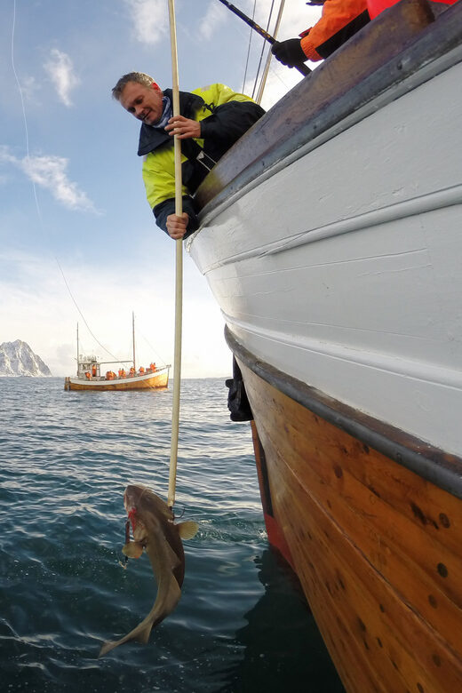 Lofoten: Traditional Fishing Trip - Final Thoughts