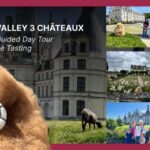Loire Castles Day Trip & Wine Tasting - Final Thoughts