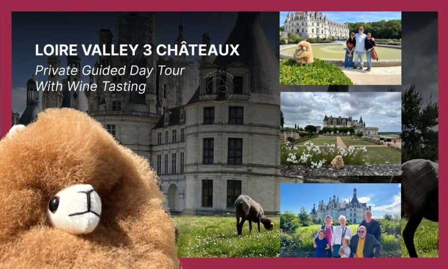 Loire Castles Day Trip & Wine Tasting - Final Thoughts