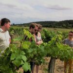 Loire Valley Half Day Wine Tour from Tours : Vouvray Wine Tasting - Areas to Consider