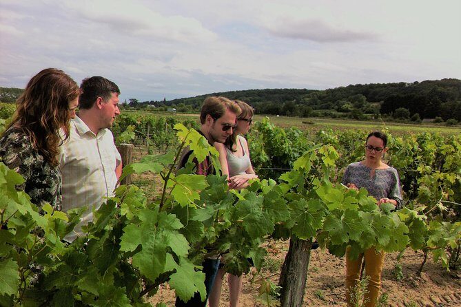 Loire Valley Half Day Wine Tour from Tours : Vouvray Wine Tasting - Areas to Consider